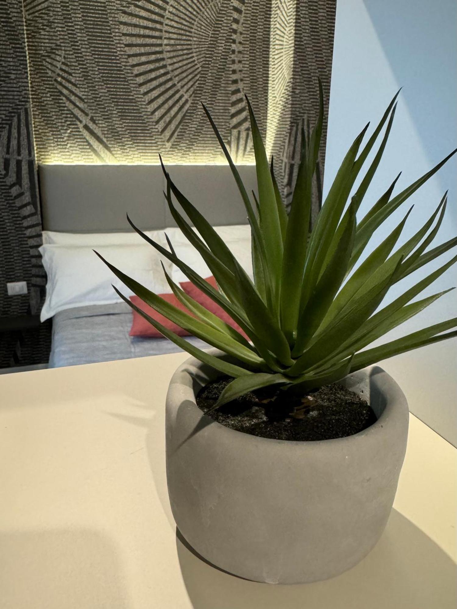 Apartment Mirage *